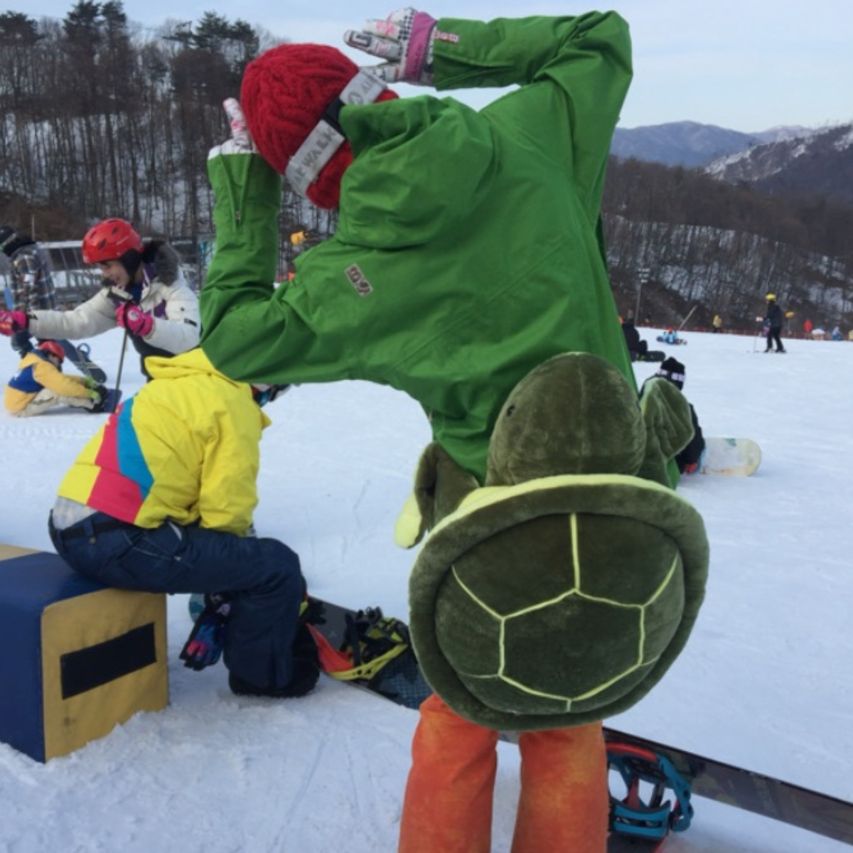 可愛い亀模様ヒッププロテクター｜子供たちを安全にスキーできるように！|undefined