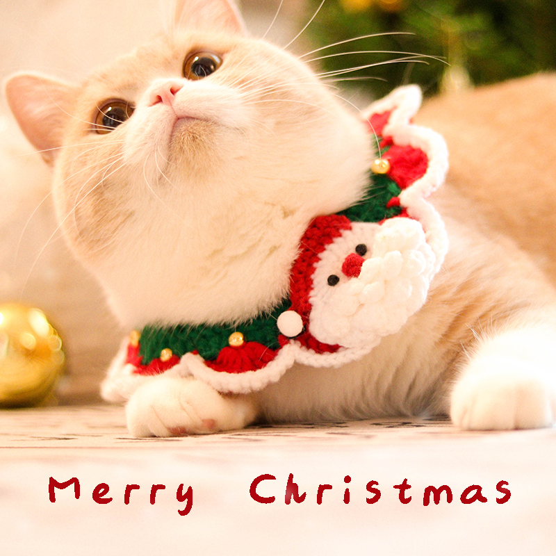 【クリスマス特集】猫の首輪｜クリスマス気分を盛り上げるペット首輪ですよ❣
