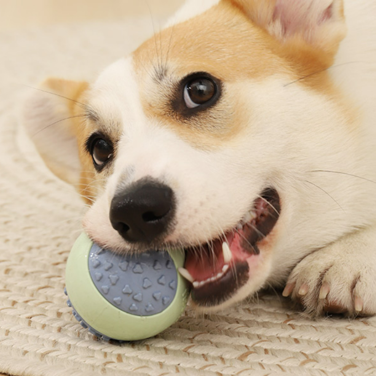 犬噛むおもちゃ｜愛犬の心身健康や脳の発達に良い選択です！|undefined