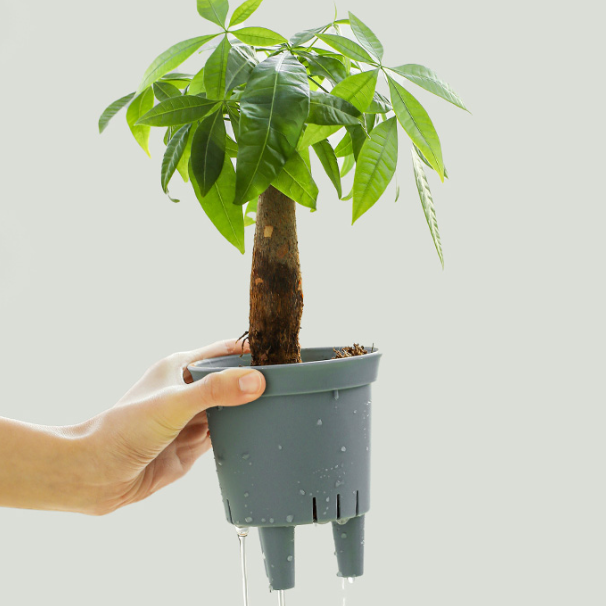 自動給水植木鉢 プラスチック製｜仕事で外出するときに 植物の世話をするのに役立ち|undefined