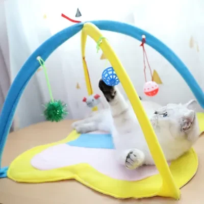 面白い猫のテント 4種類のおもちゃ付き｜横になったり遊んだり、おもちゃを持ち込んで猫の注意を引く