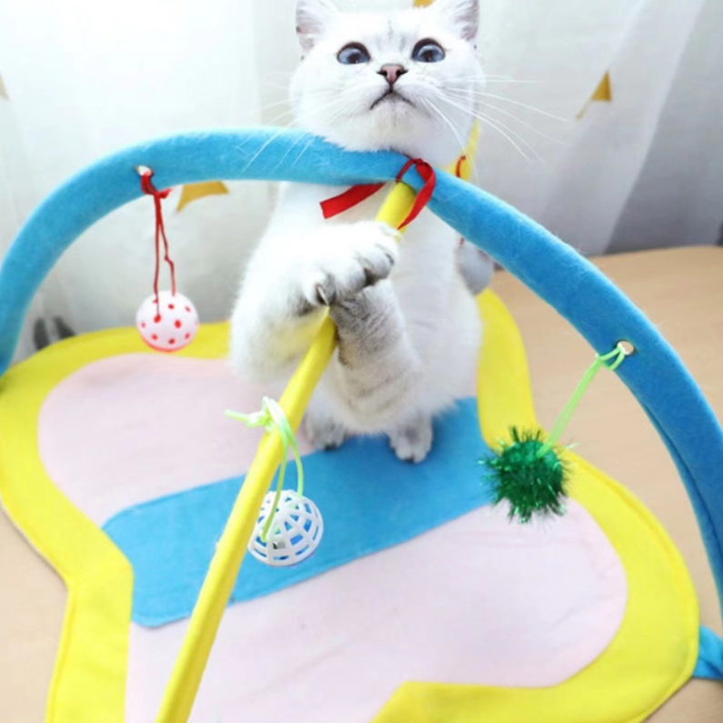 面白い猫のテント 4種類のおもちゃ付き｜横になったり遊んだり、おもちゃを持ち込んで猫の注意を引く|undefined