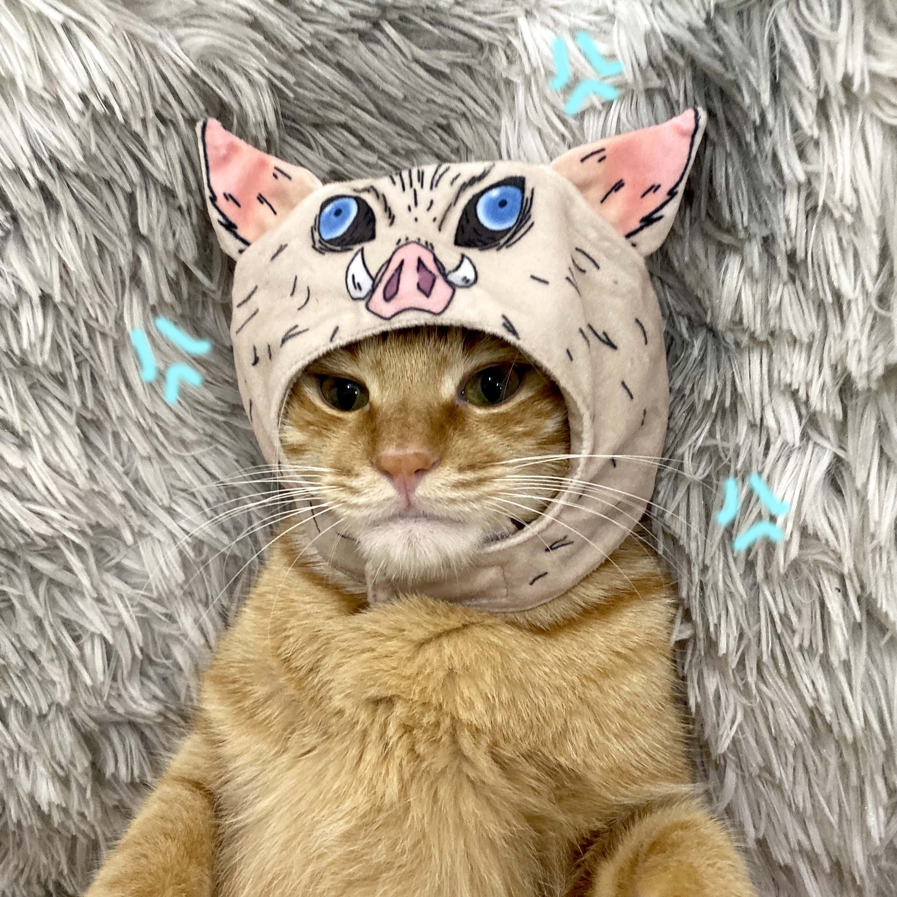 イノシシ型 ペット帽子｜調整可能 かわいい猫の帽子 お笑い 写真道具|undefined