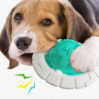 宇宙カプセル式 ペットおもちゃ｜犬嚙みおもちゃ 頑丈な素材 耐久性良い