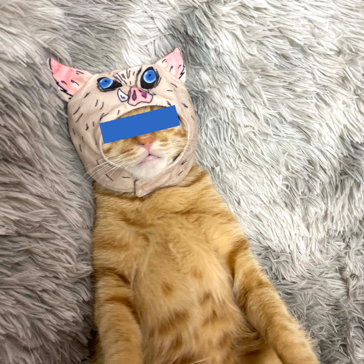 イノシシ型 ペット帽子｜調整可能 かわいい猫の帽子 お笑い 写真道具|undefined