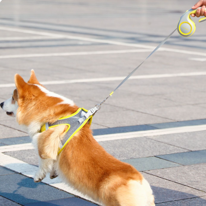 伸縮式 犬用ハーネル｜ペットロープ 通気性に優れている 飛び出し防止|undefined