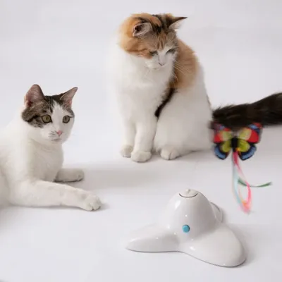 【KARA PET】猫おもちゃ　電動猫じゃらし｜羽おもちゃ 羽根付き　一人遊ぶ