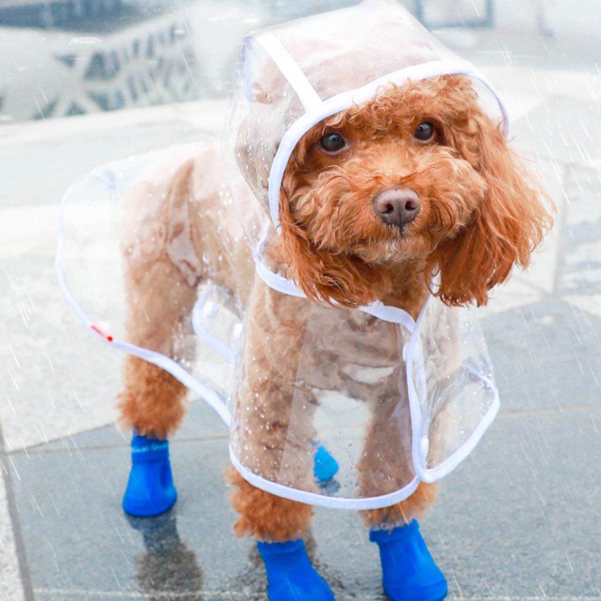 「梅雨期対策」小型犬用レインコート｜軽量で通気性良い 風よけ寒さ対策 着脱簡単|undefined