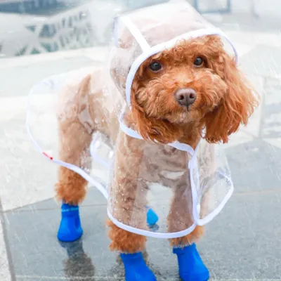 「梅雨期対策」小型犬用レインコート｜軽量で通気性良い 風よけ寒さ対策 着脱簡単