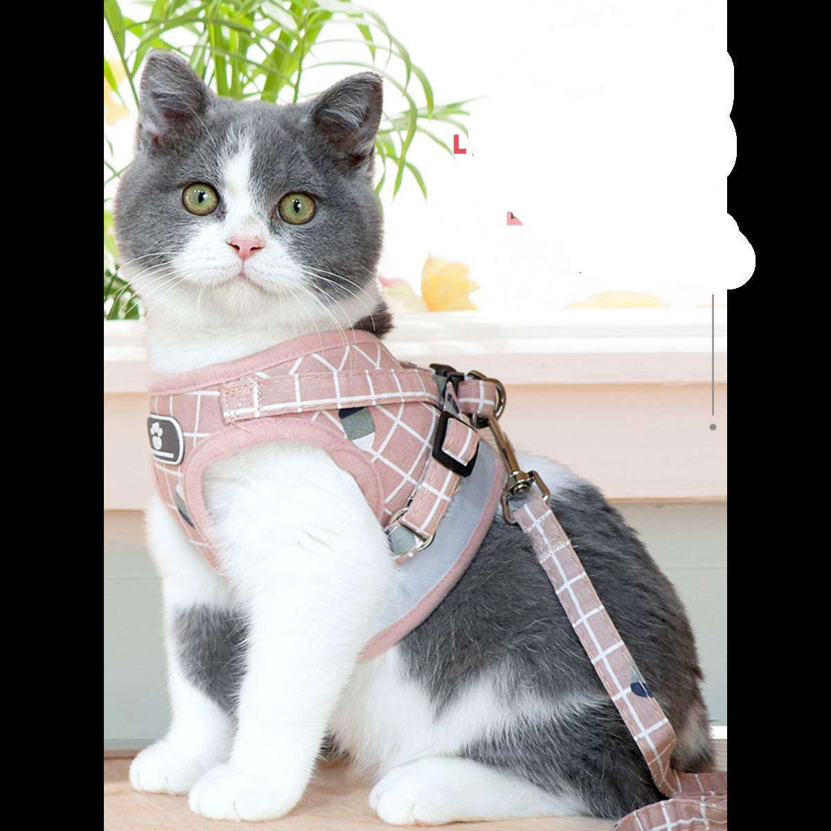 ネコ | 7sGood通販