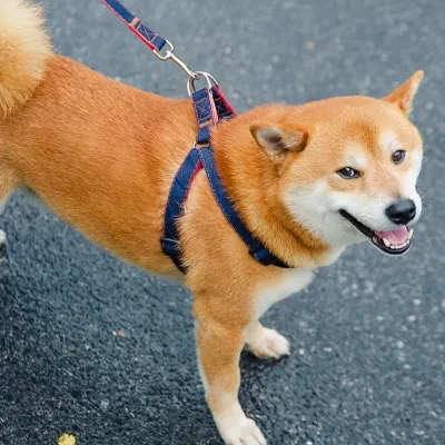 犬用ハーネス｜軽量で持ち運びやすい 飛び出し防止 頑丈な素材で壊れにくい