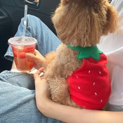 かわいいイチゴ型 小型犬用服｜薄手 春夏にぴったり 通気性良い 柔らかい生地