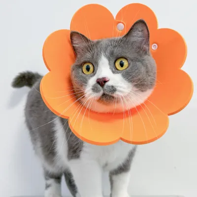 花型 エリザベスカラー | 猫用 首輪  傷舐め防止 引っ掻き防止 手術後ケア サイズ調整