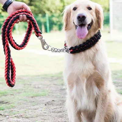 大型犬用リード｜訓練リード 頑丈な素材 飛び出し防止 滑り止め防止