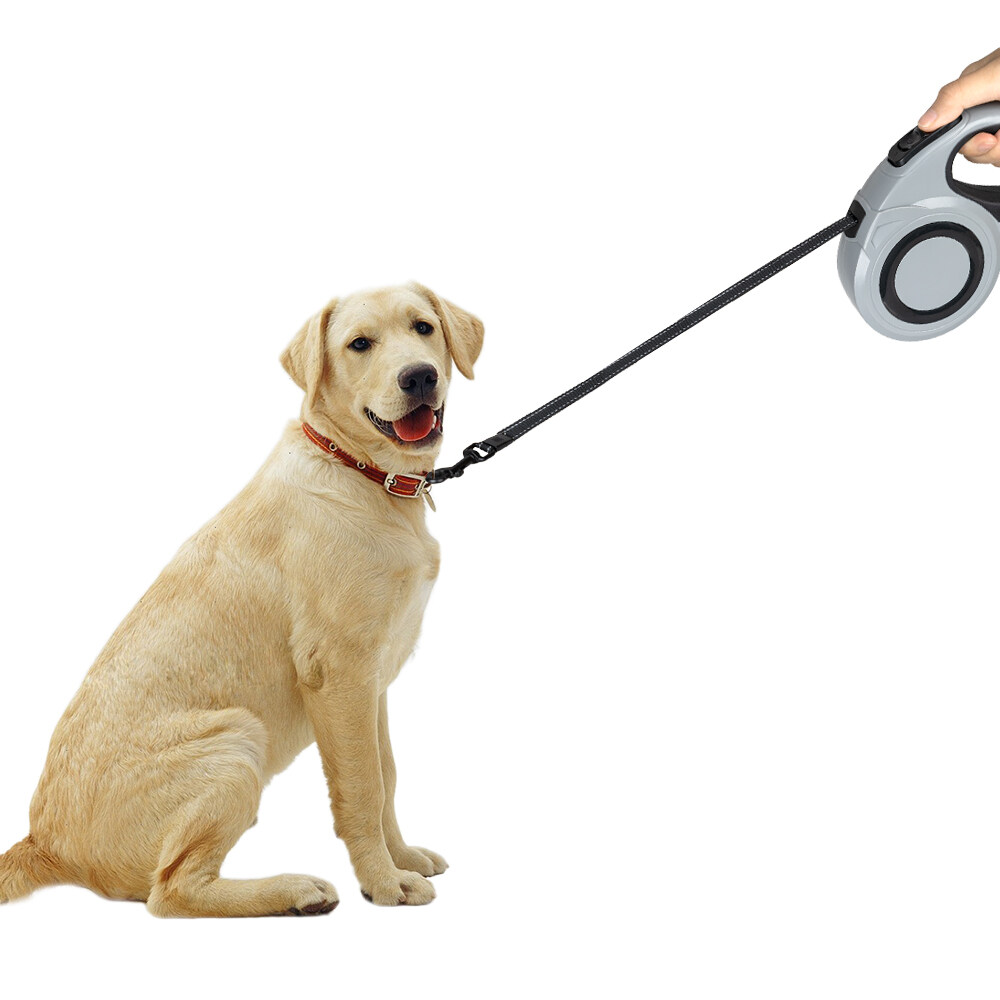 【KARA PET】自動伸縮犬リード｜自動巻き お散歩 長さ5m/8m 小型犬・中型犬・大型犬専用|undefined