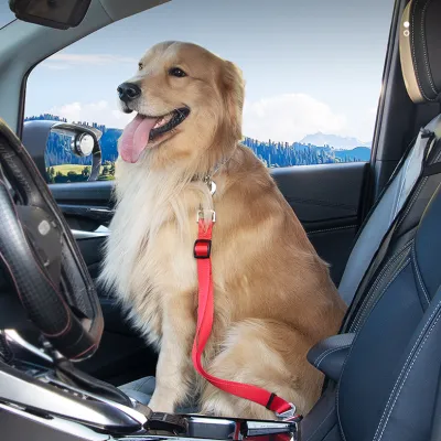 犬用 シートベルト｜車用ペット安全ベルト しっかり固定 飛び出し防止