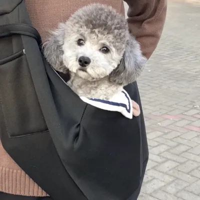 ショルダーバッグ式 ペットキャリー｜ペット抱っこ紐 小型犬用 軽量 通気性良い