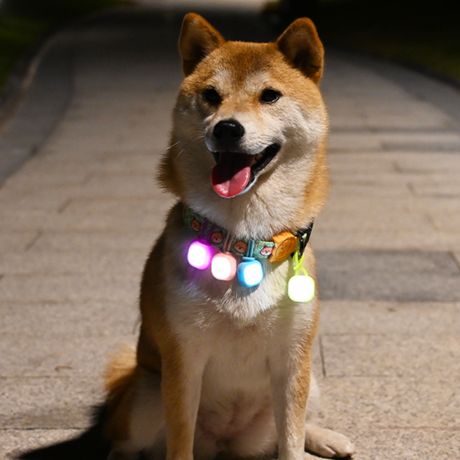 犬夜間散歩用ペンダントライト｜シリコン素材 軽量で頑丈な素材 電池交換可能|undefined