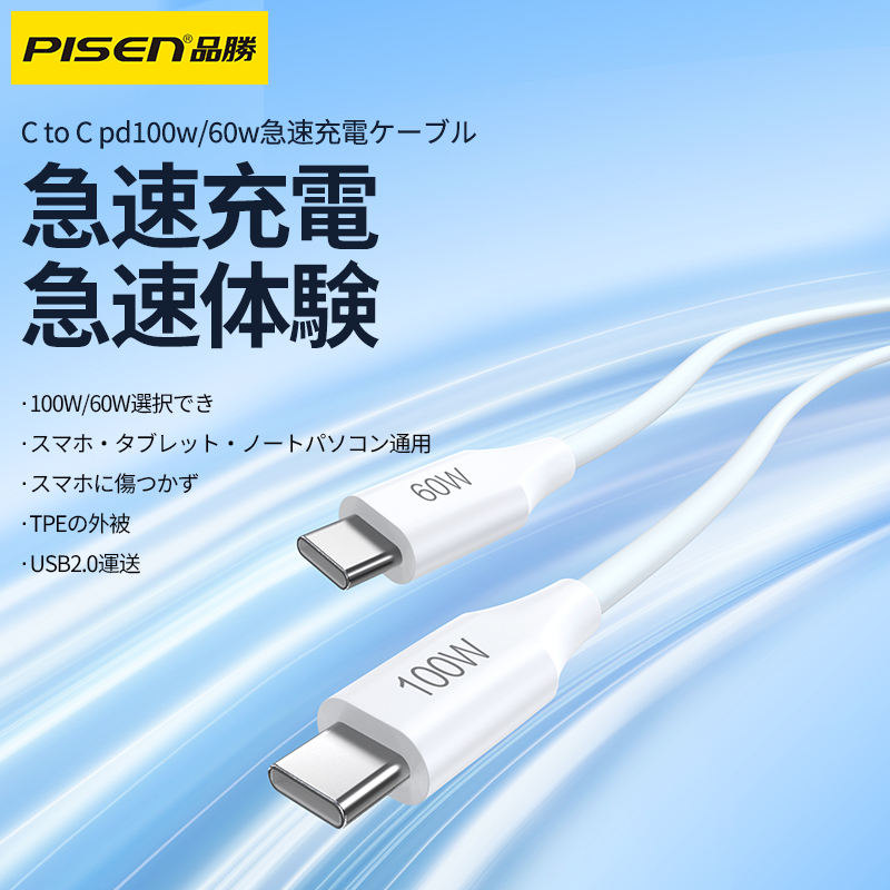 PISEN 充電ケーブル｜Type-C to Type-C・60W・100W|undefined