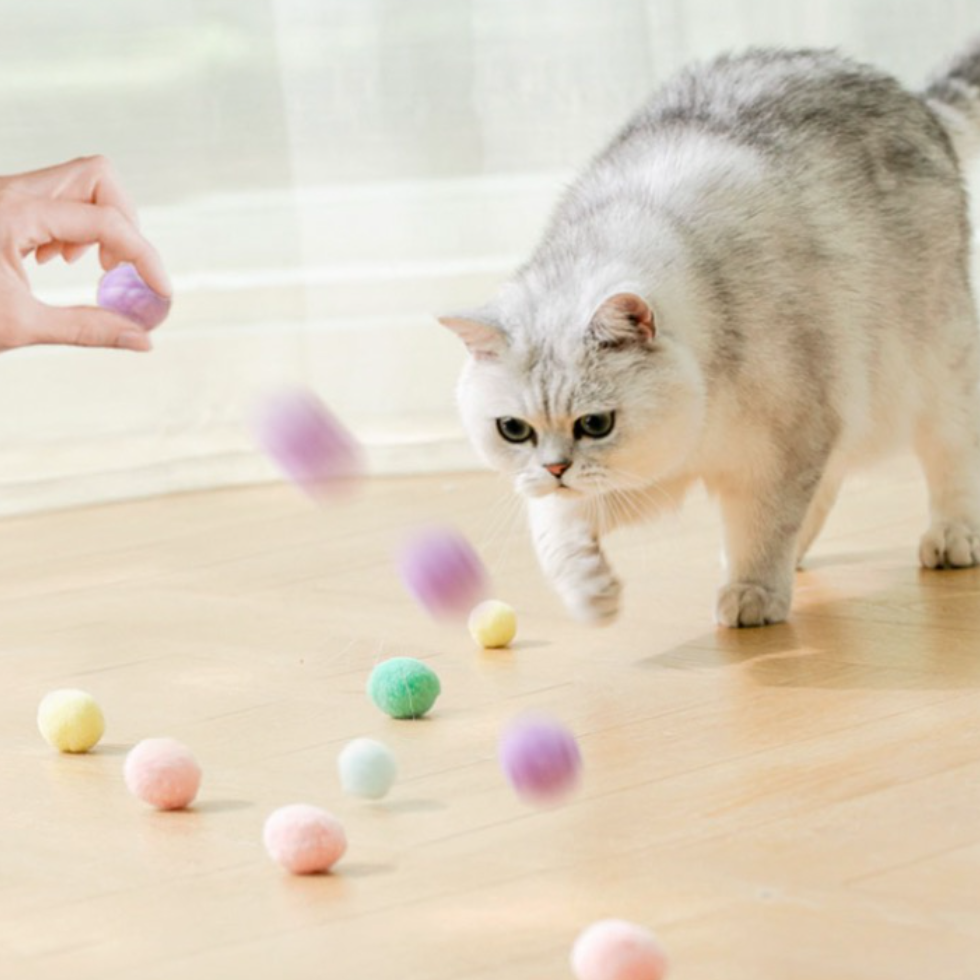 【KARA PET】猫のおもちゃボール｜自分で遊んで退屈しのぎ 噛んでも|undefined