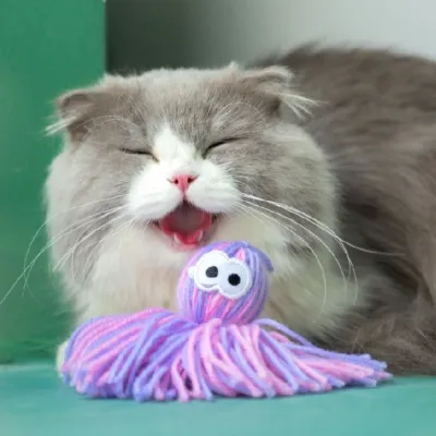 【KARA PET】ユタタコボール｜猫ちゃんも大喜びのおもちゃ