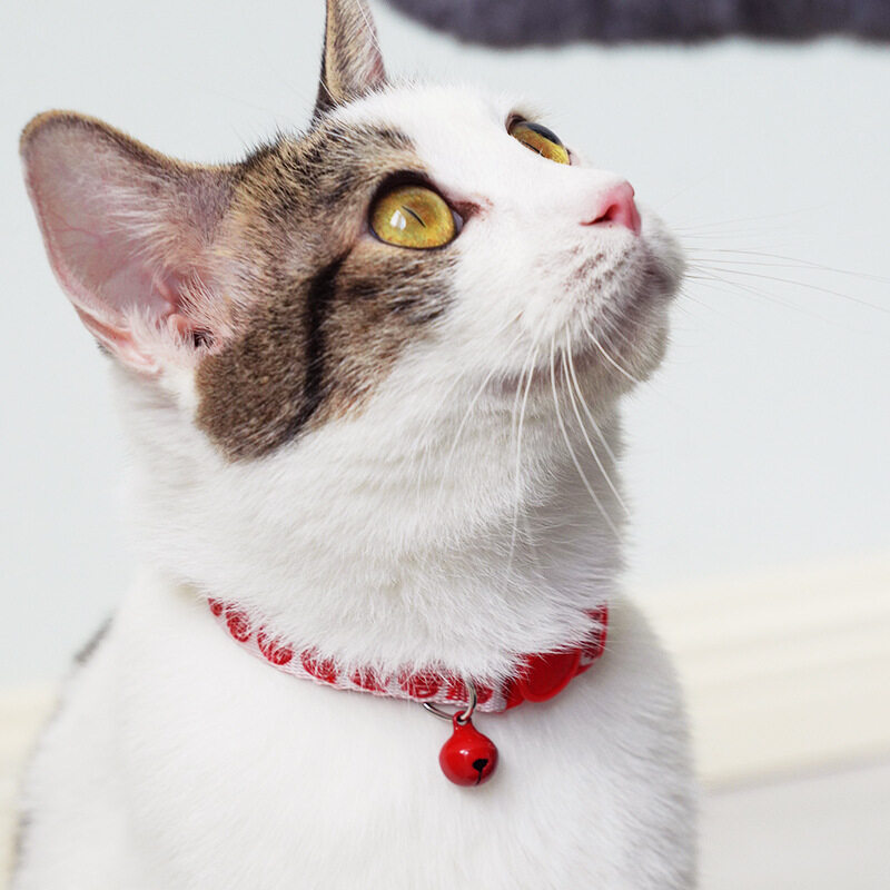 【KARA PET】ネコ 首輪｜猫くびわ 鈴つき ペットの首輪 子猫の首輪鈴付き