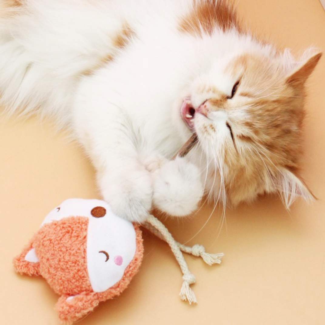 【KARA PET】ぬいぐるみの猫のおもちゃで｜自分で遊んでストレス解消や運動を|undefined