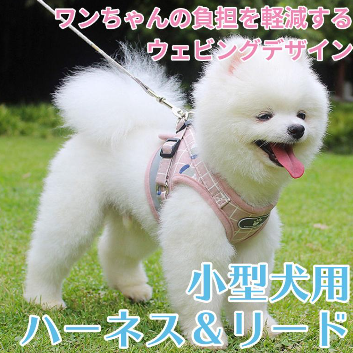 小型犬用 ハーネス＆リード |  猫犬用 牽引ロープ 反射素材 散歩 おしゃれ|undefined