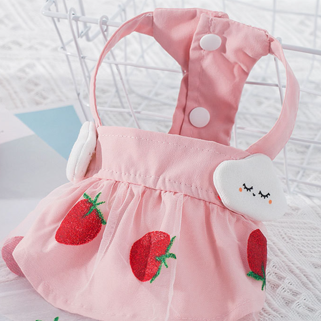 猫犬の夏のお洋服！プリンセスドレスでキュートに♪