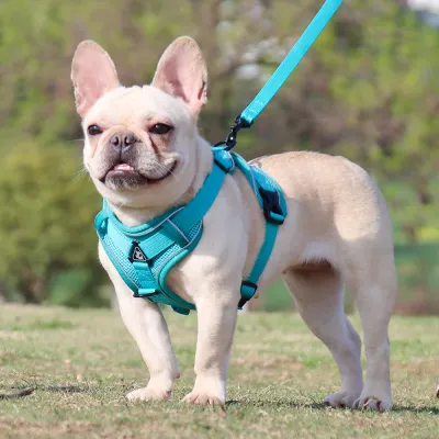 ワンちゃん用ハーネスリード｜中小型犬用 通気性良い 軽量で頑丈な素材