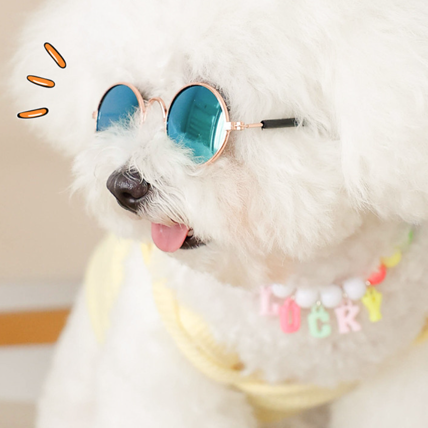 ペット用サングラス｜日焼け防止 可愛い犬猫のファッションアイテム 写真道具