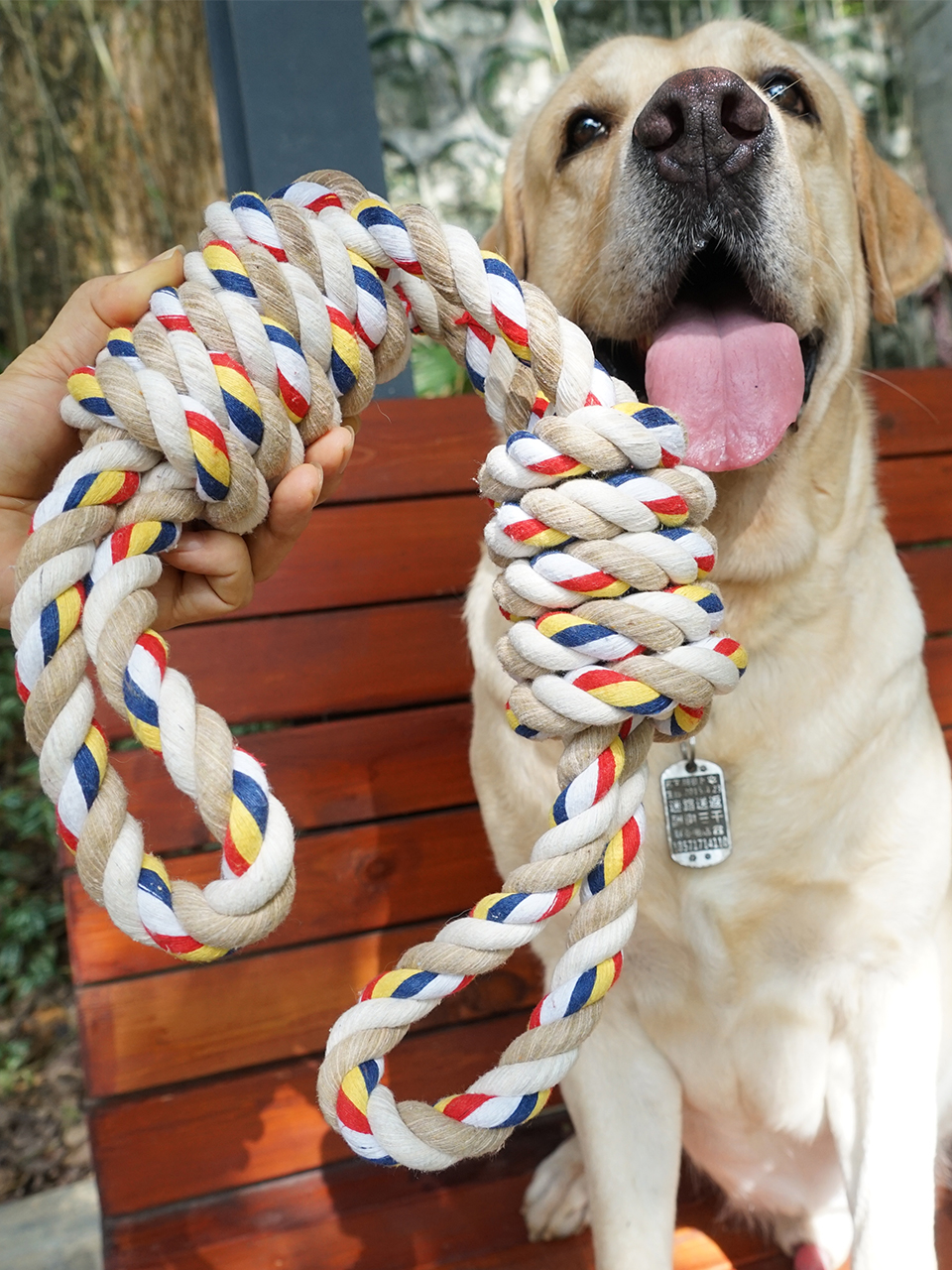 綿ロープ 犬おもちゃ｜ 歯磨き 噛むおもちゃ 天然コットン ロープゲーム 耐久性 無毒 清潔 縄編み 中大型犬に適用|undefined