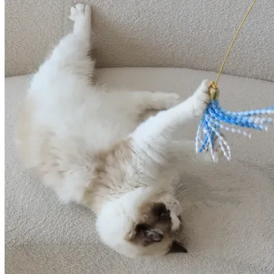かわいい猫じゃらし｜噛みにくい　猫のおもちゃ ペット運動不足解消