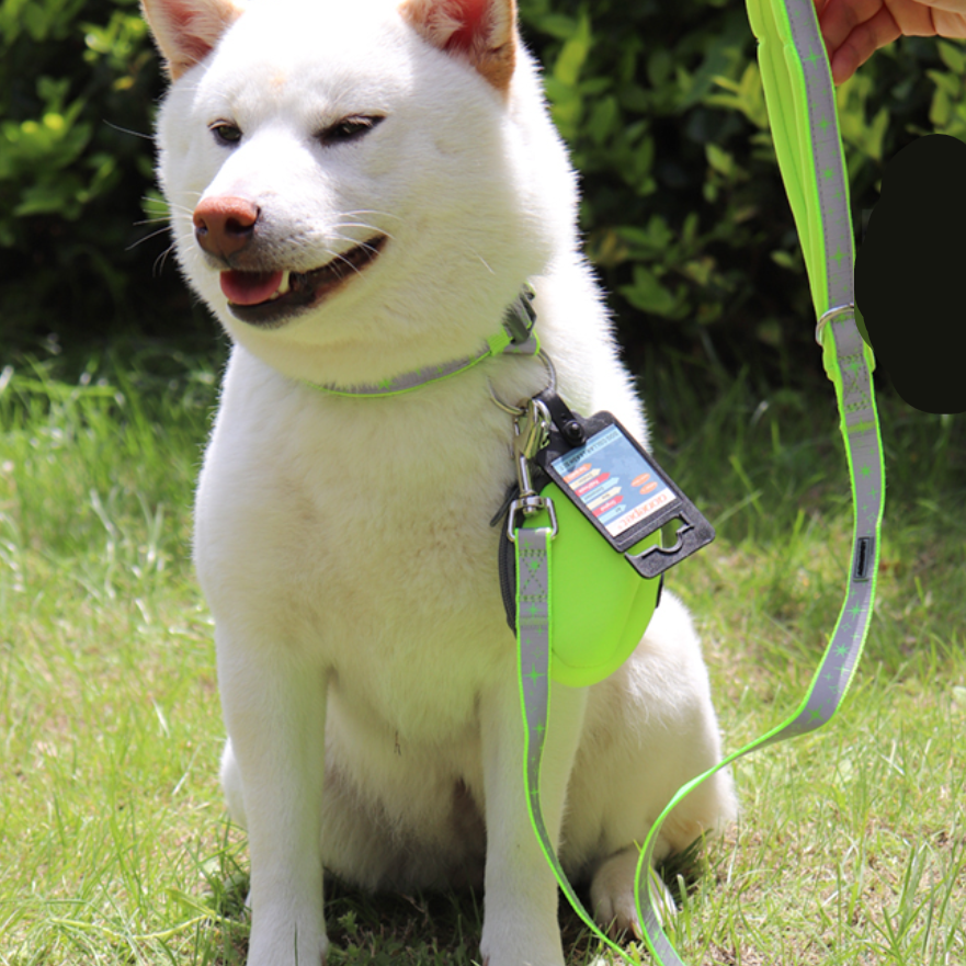 犬用リード｜愛犬との散歩やしつけの際に必要な犬用リード|undefined