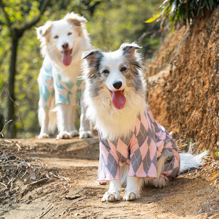 大型犬のシャツ｜かわいいペット服 通気性良い素材 薄手で夏春にぴったり
|undefined