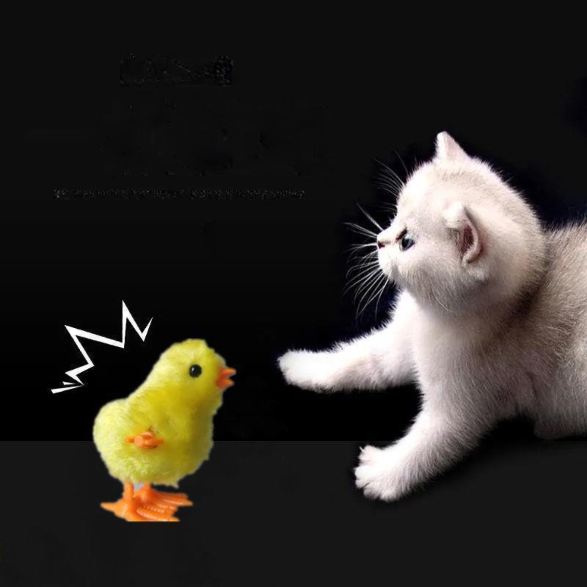 ゼンマイおもちゃ｜猫おもちゃ 電池不要 猫運動不足解消 退屈対策|undefined