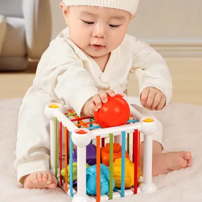 赤ちゃんおもちゃ｜物の引き出し 指先知育 カラー認知 脳を刺激し 発育を促す
