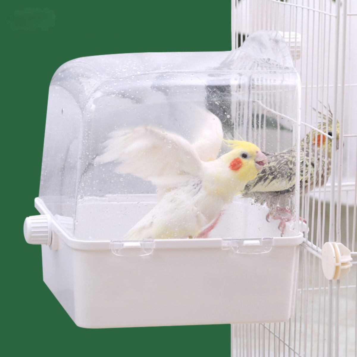インコのお風呂ボックス｜大きいサイズでペットインコ用ぴったり！かごに掛ける式|undefined