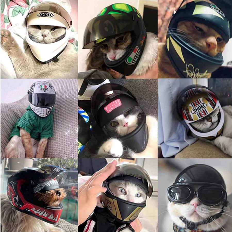 ペット用モーターサイクルヘルメット| 猫と犬のためのおしゃれな