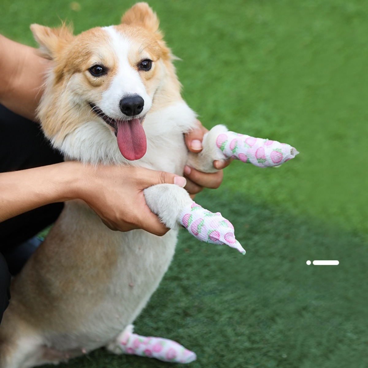 ワンちゃんお出かけ用足カバー｜自己粘着包帯 汚れ防止 粘着テープ 肉球保護 使い捨て|undefined