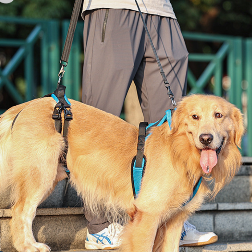 犬用歩行補助ハーネス｜老犬の前足と後足の補助 介護リハビリにも利用可能 |undefined