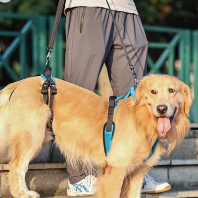 犬用歩行補助ハーネス｜老犬の前足と後足の補助 介護リハビリにも利用可能 