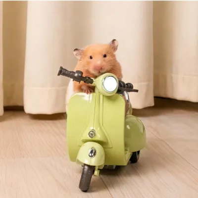 【OHAYO】「人気おもちゃ」ペット用オートバイ｜360回転・ライト付き・面白い