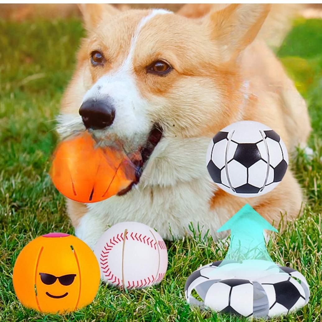 ワンちゃんの変形ボールおもちゃ｜室内やアウトドア どこでも遊べる 犬の運動不足を解消