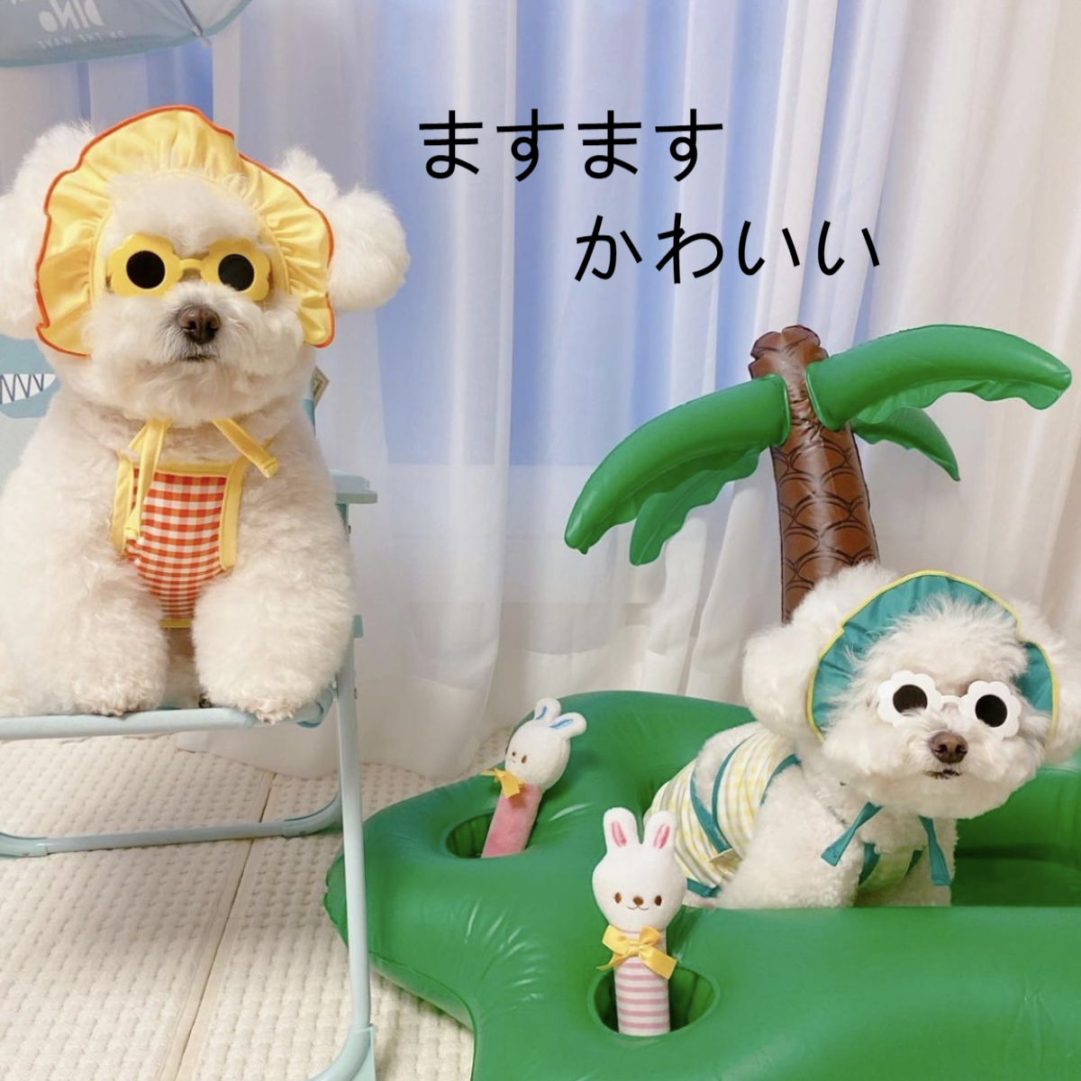 ペット用サングラス| かわいいペットのアクセサリー 小型犬に適用 ペットの撮影にぴったり！|undefined