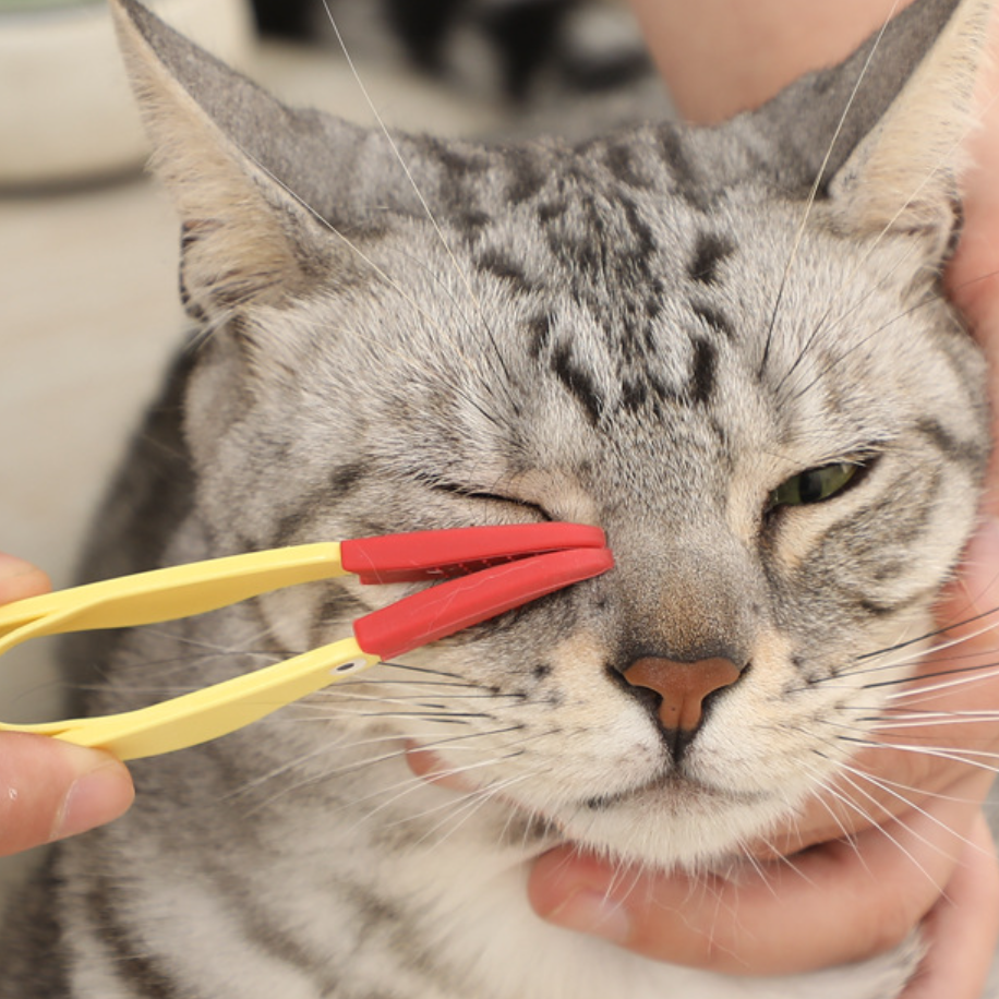 ペットの目ブラシ｜猫犬通用 柔らかい素材 肌にやさしい|undefined