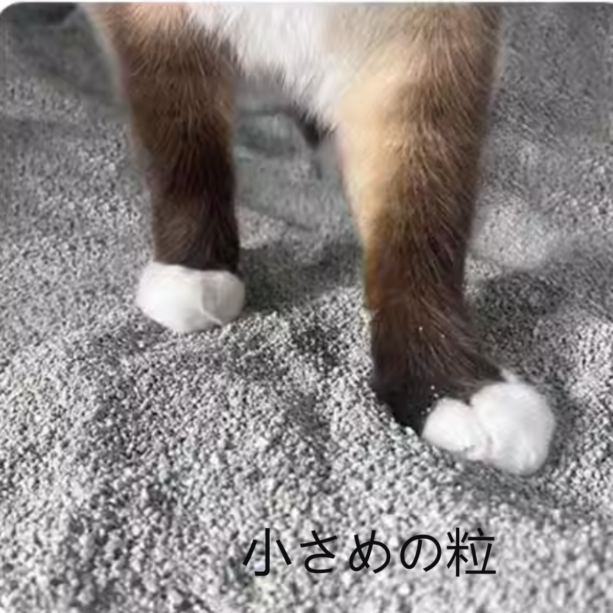 鉱物系猫砂4.2kg  |  埃が少ない 消臭 ガッチリ固まる 小さめの粒 吸収性に優れる|undefined