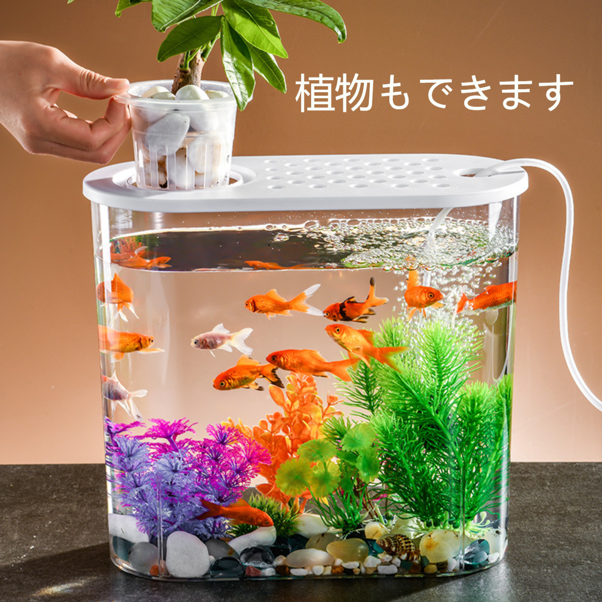 小型アクアリウム｜水族館 透明 おしゃれ オフィス 金魚 亀 蓋つき|undefined