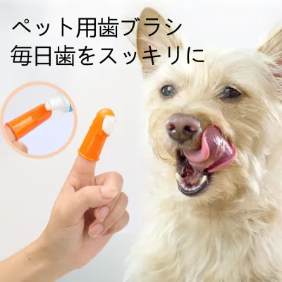 ペット歯ブラシ｜猫犬通用 柔らかいシリコン素材で歯にやさしい 歯石などの問題を防ぐ