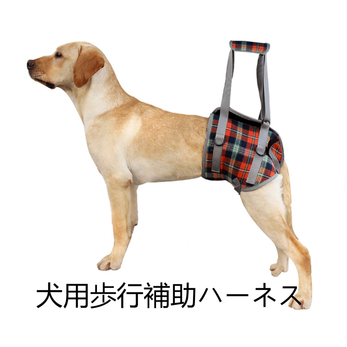 犬用歩行補助ハーネス｜胴体用 老犬 介護 怪我 手術 快復中 病気 安全帯 お出かけ便利|undefined